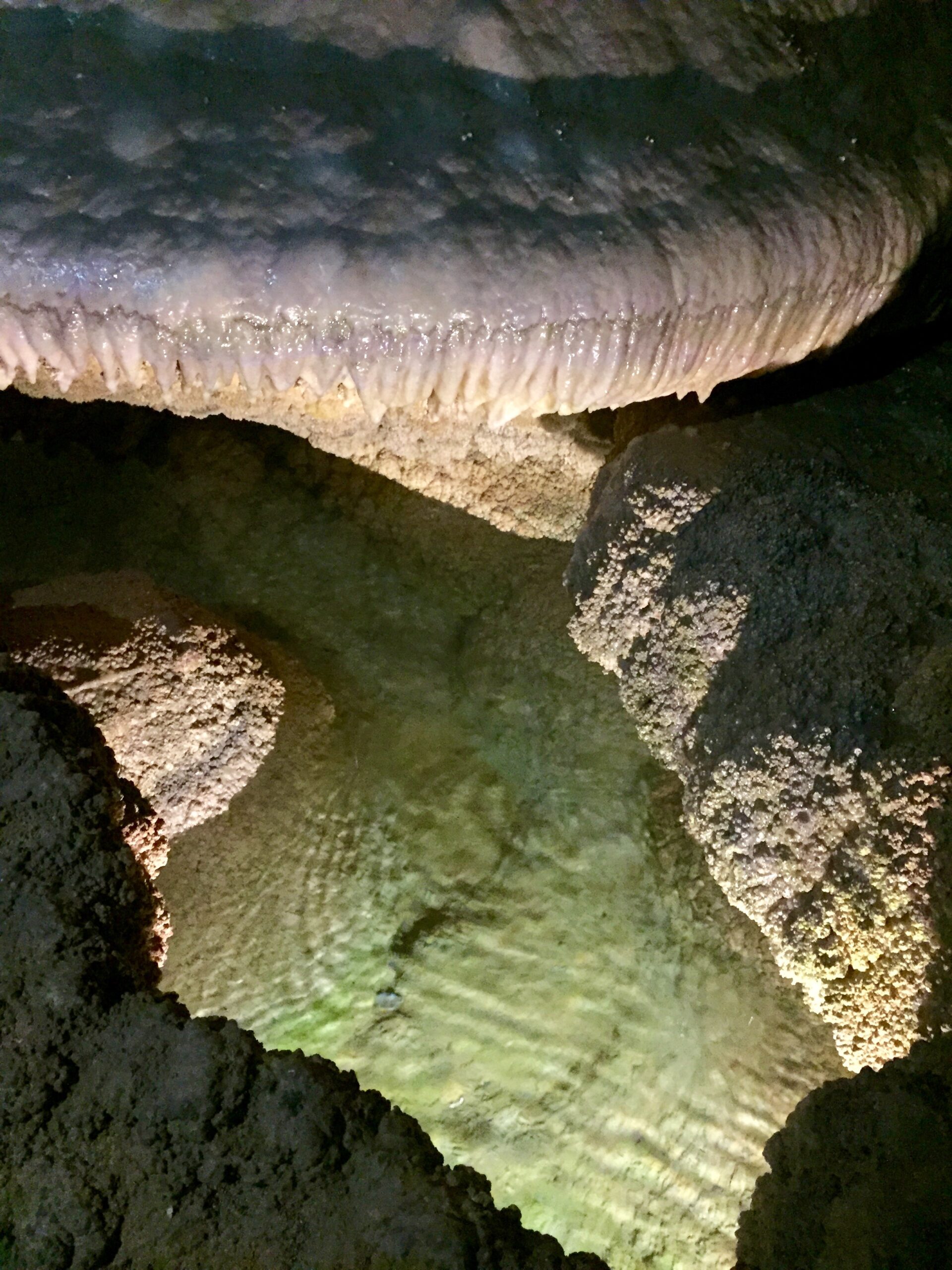 An image picturing rock formations above clear, blueish, greenish water. The rocks appear wet and shiny and vary in colors from purple-grey to warm browns.