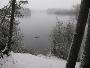 A foggy wintry scene consisting of a few, thin, mostly bare, snow covered trees infront of a body of grey water. The ground infront of the trees is covered in snow. More land masses are further into the water and are covered in trees, but are unclear to the eye, as they are obscured by fog. The sky is a light shade of grey.