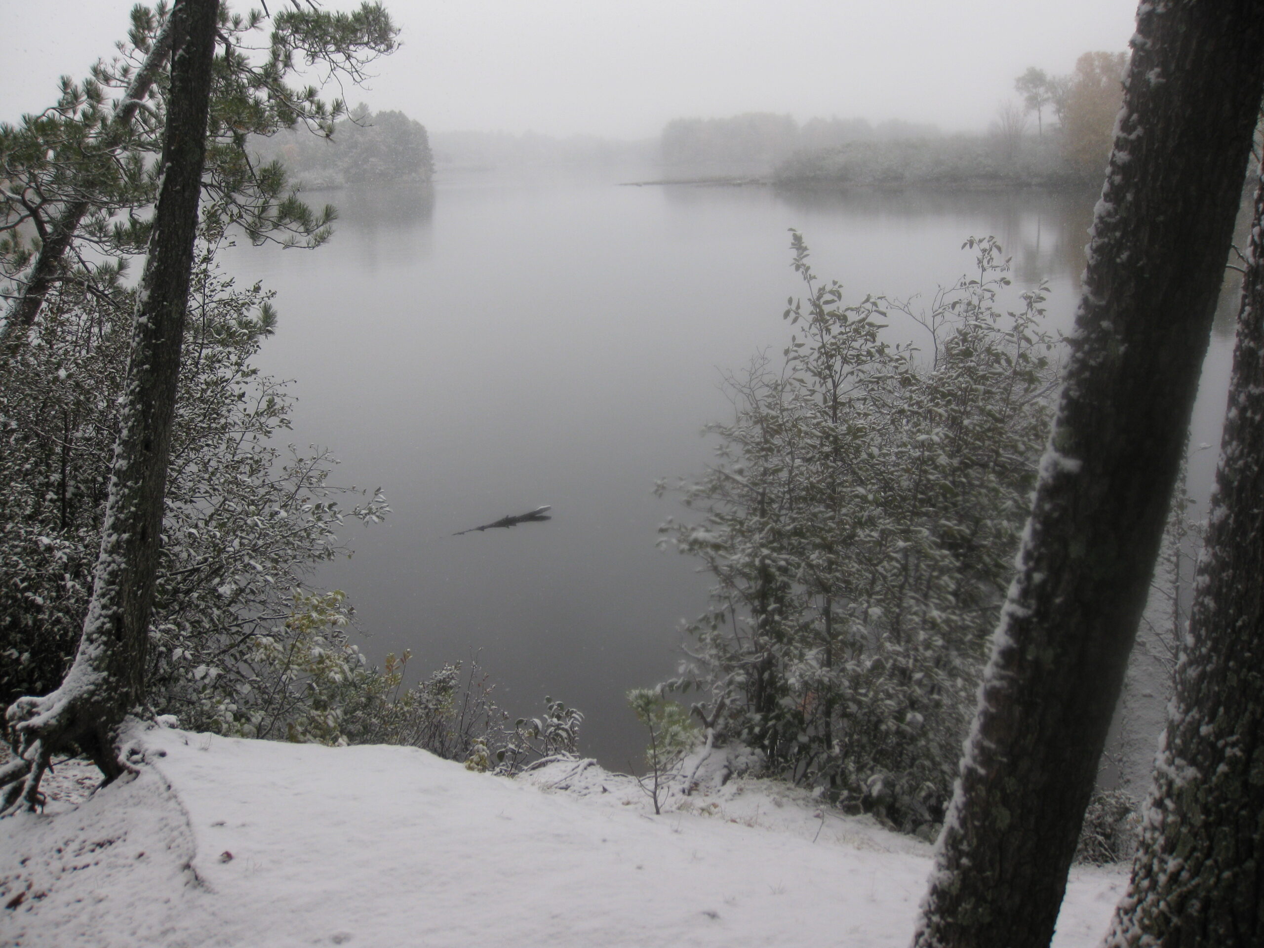 A foggy wintry scene consisting of a few, thin, mostly bare, snow covered trees infront of a body of grey water. The ground infront of the trees is covered in snow. More land masses are further into the water and are covered in trees, but are unclear to the eye, as they are obscured by fog. The sky is a light shade of grey.