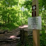 A sign posted on a wooden stake on a walking trail. The sign directs hikers to try out a new trail. The forest along the trail is full of green trees and plants.