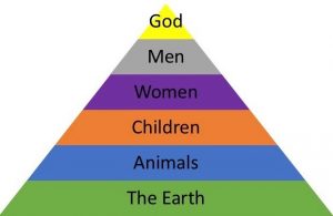 Triangular visualization of the hierarchy of oppression (motivation for ecofeminism) showing god over men, men over women, women over children, children over animals, and animals over the earth.