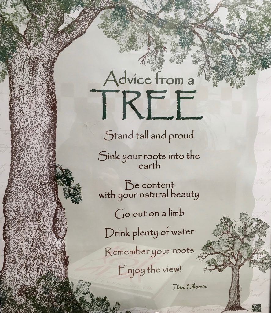 An art print of a large brown tree with leaves and a smaller tree in the foreground. The text on the print reads "Advice from a Tree, Stand tall and proud, Sink your roots into the earth, Be content with your natural beauty, Go out on a limb, Drink plenty of water, Remember your roots, Enjoy the View! Ilan Shamin."