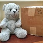 A grey teddy bear sits next to a cardboard box, which is full of books.