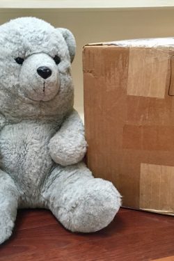 A grey teddy bear sits next to a cardboard box, which is full of books.
