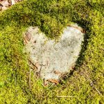 This photo shows a heart found in nature: green moss has been cut into the shape of a heart, revealing a light grey rock underneath. I took this photo when hiking in Wisconsin, earlier in 2018—at a time when I was planting the self-love seed for this post.
