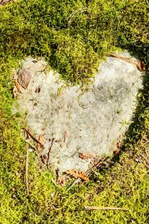 This photo shows a heart found in nature: green moss has been cut into the shape of a heart, revealing a light grey rock underneath. I took this photo when hiking in Wisconsin, earlier in 2018—at a time when I was planting the self-love seed for this post.