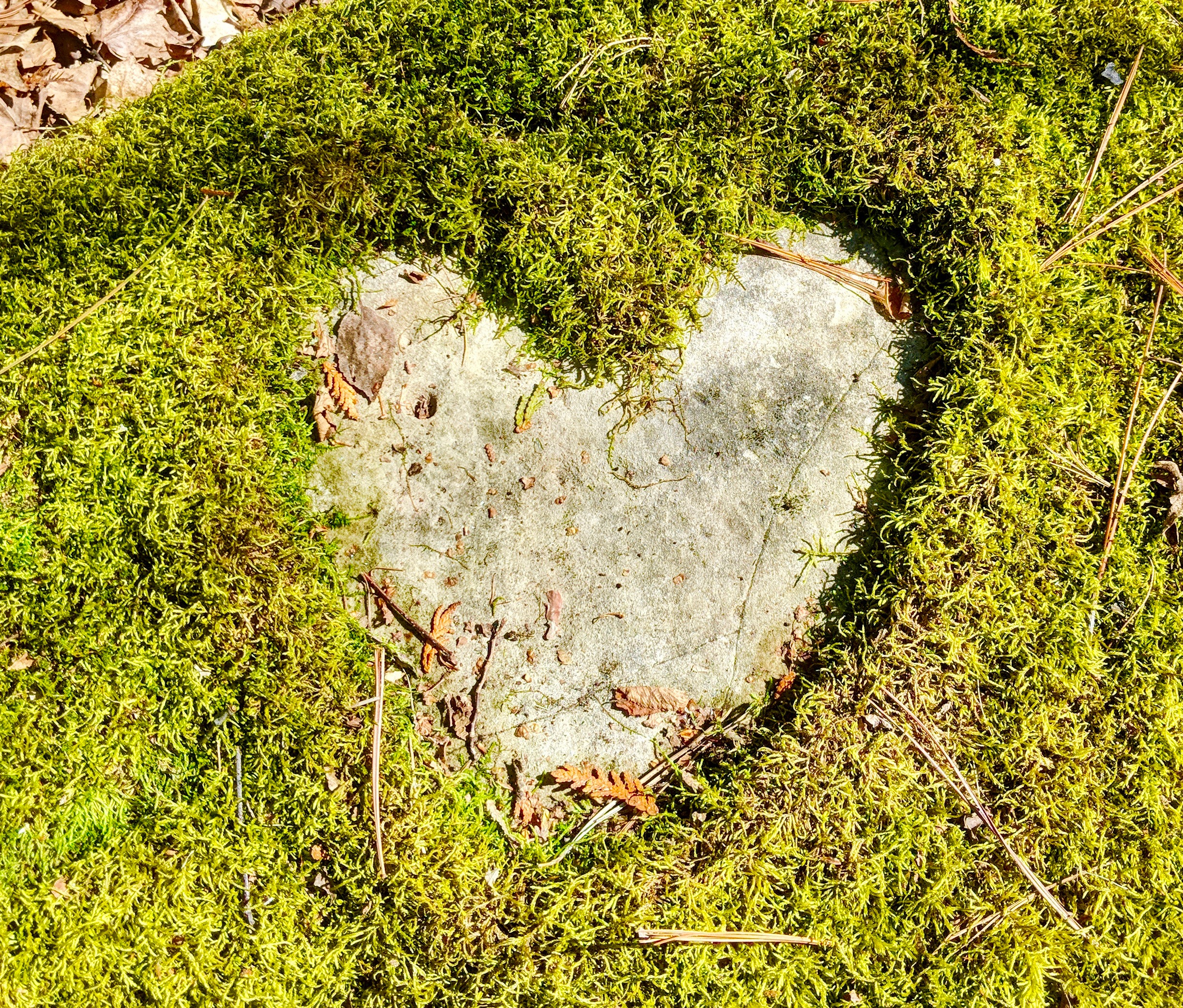 This photo shows a heart found in nature: green moss has been cut into the shape of a heart, revealing a light grey rock underneath. I took this photo when hiking in Wisconsin, earlier in 2018—at a time when I was planting the self-love seed for this post.