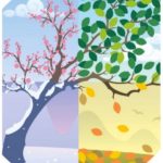 This image from the Inside Higher Ed article (credit: Istockphoto.com/malchev) represents seasonal change. A single nature scene (life of a tree) is divided into quadrants: moving clockwise from the lower-left through a snowy landscape to pink blossoms to green leaves to fallen autumn leaves.