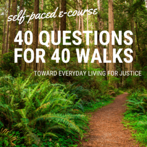 This e-course announcement shows a red-brown trail winding through green ferns and hardwood forest. It shares the following information: “self-paced e-course, 40 QUESTIONS FOR 40 WALKS: Toward Everyday Living for Justice."