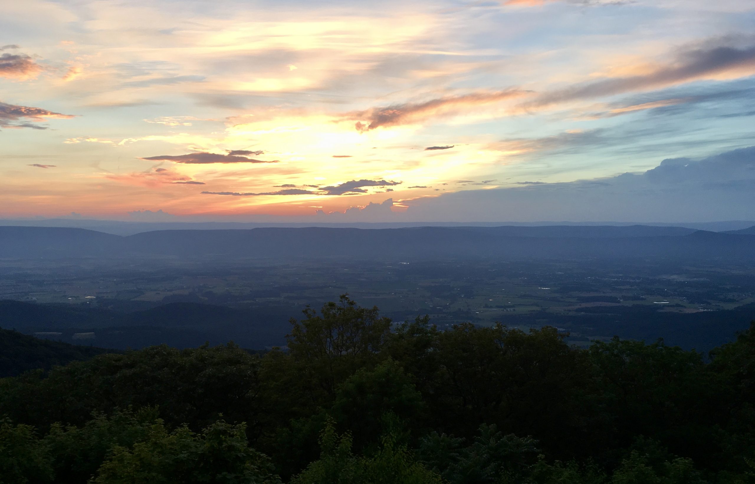 2019-06-29 20.48.07-1