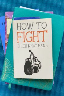 This image shows a stack of books with Thich Nhat Hanh’s How to Fight on the top, a blue bookmark sticking out—all against a blue background. These books teach about “complaining” and speaking up as a killjoy.