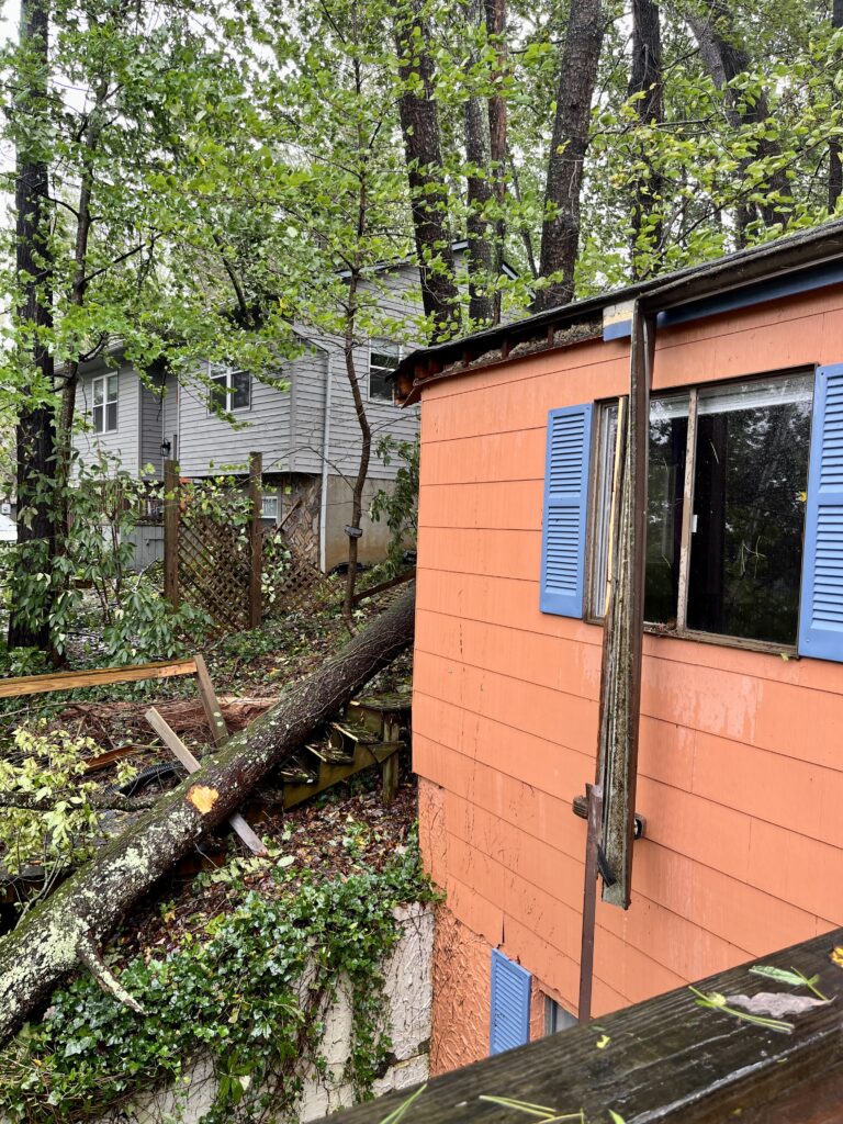A view of Beth’s rental home with a tree laying outside of one of the house’s outer walls. Another tree next to the house has been split and foliage covers the surrounding ground.