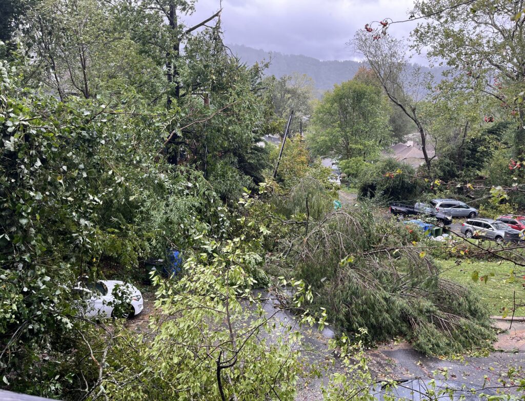 Looking down at the blocked street, impassable from fallen trees.