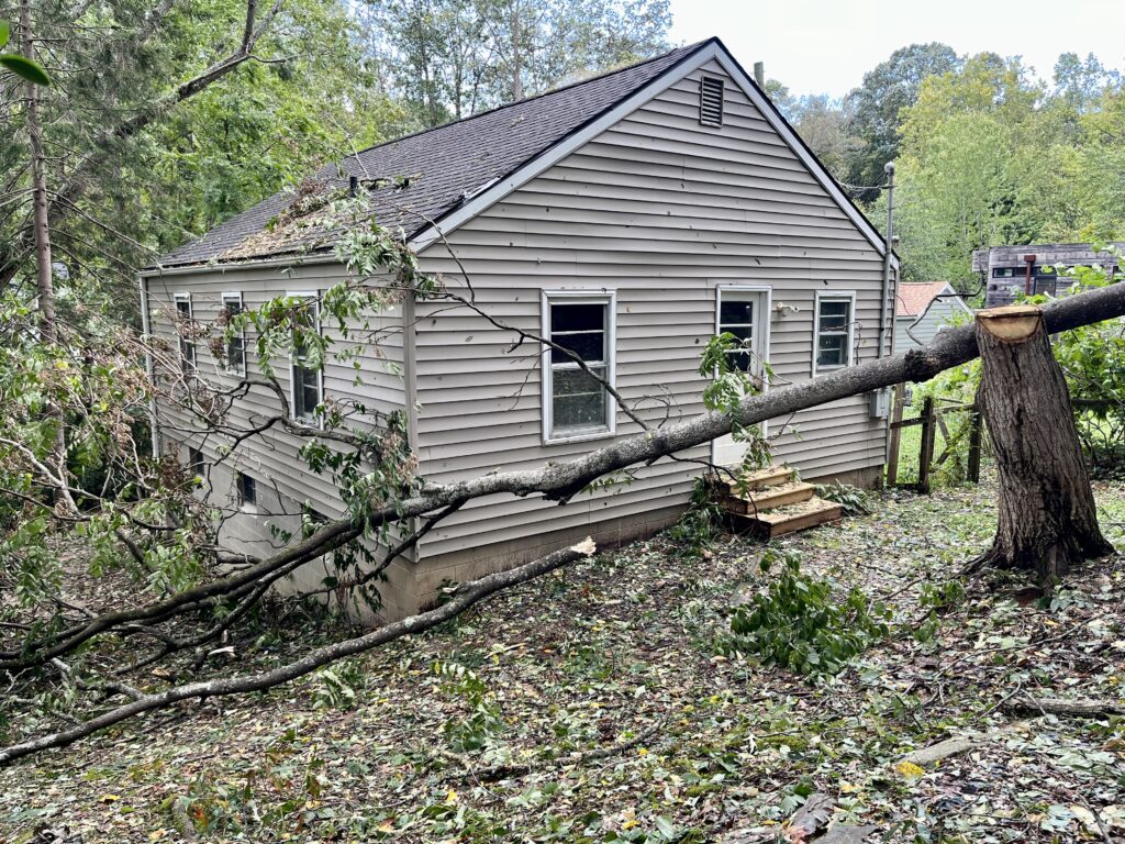 Reno house: tree propped up by a tall tree stump, brushing the side of the house.