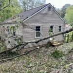 Reno house: tree propped up by a tall tree stump, brushing the side of the house.