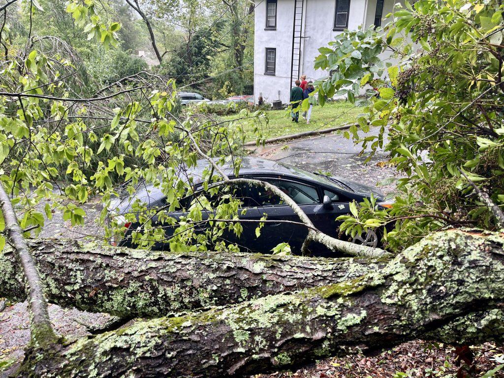 A tree that fell due to hurricane Helene in front of a small black car in the street. The road is littered with water and leaves. In the distance, a white house and three individuals can be seen staring at the house.