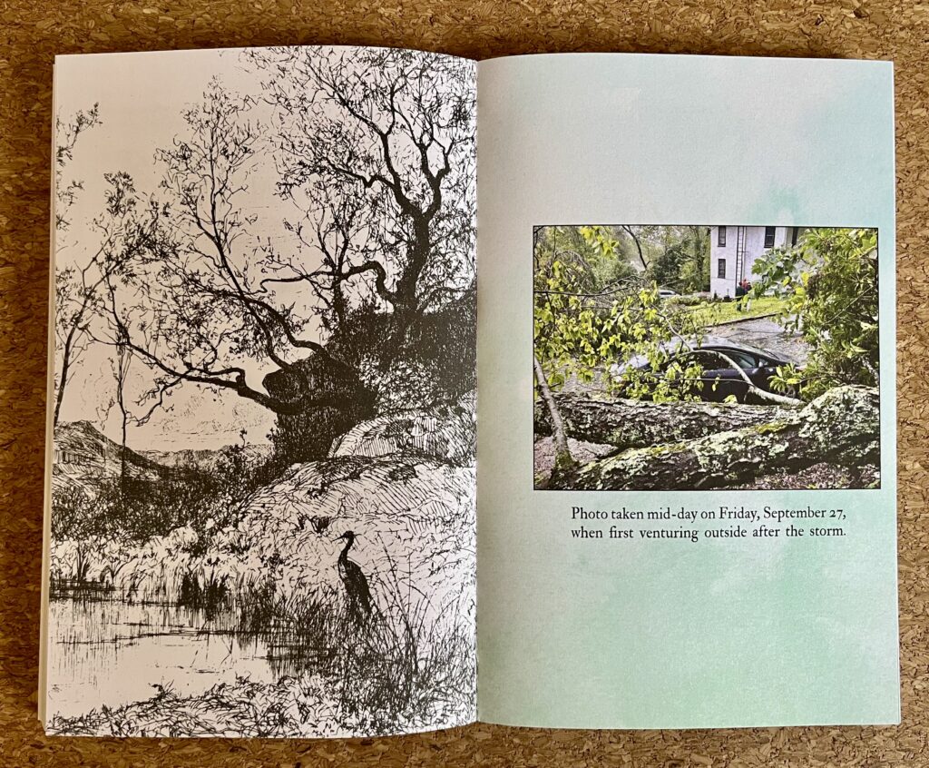Two pages of "From the Holler to the Sea." On the left, a black and white illustration of a marsh, complete with a tall bird standing in the foliage. On the right, a photo of fallen trees around a car against a light green-white background followed by the text "Photo taken mid-day on Friday, September 27, when first venturing outside after the storm." The photo was provided by Beth Godbee.