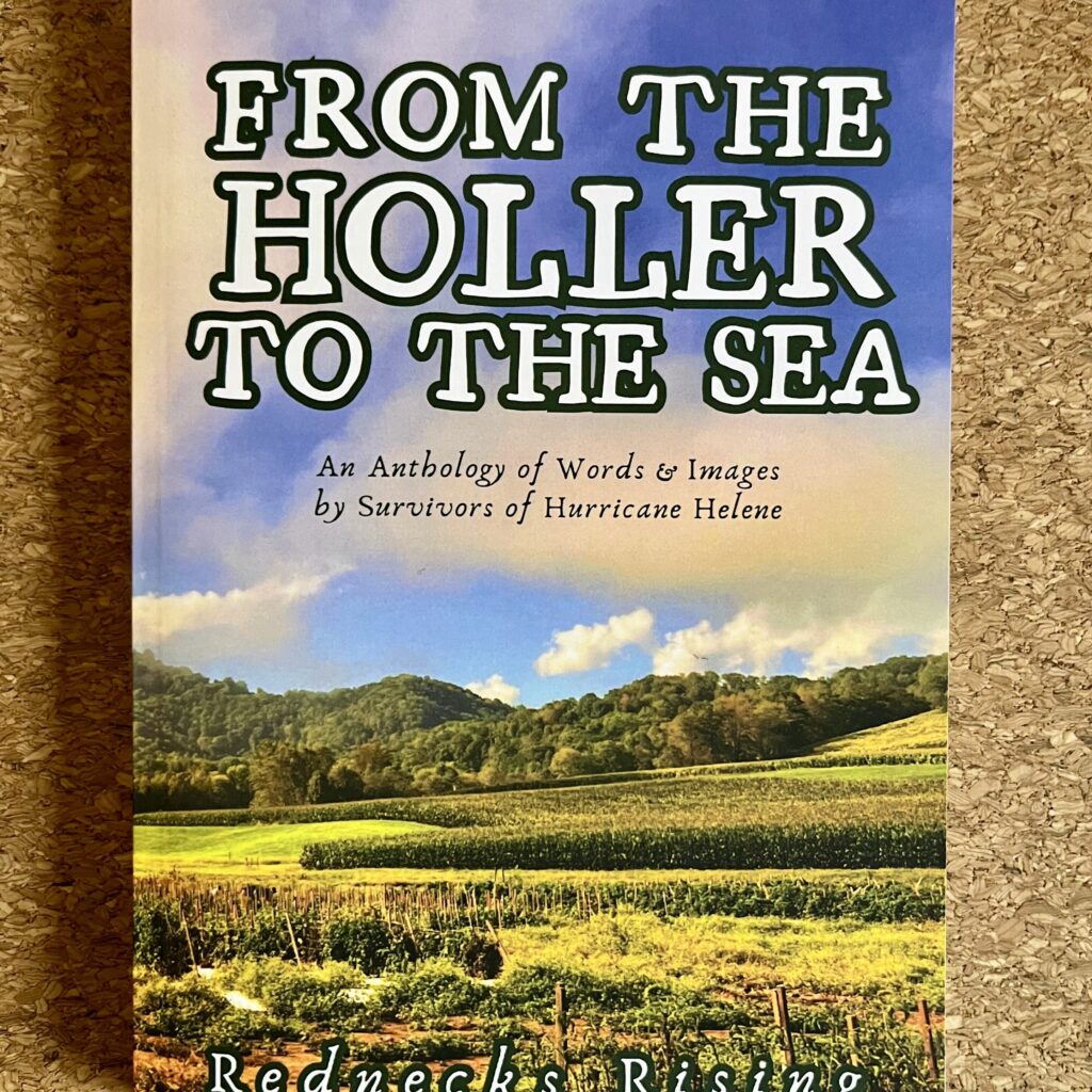 The cover of the book "From the Holler to the Sea, An Anthology of Words & Images by Survivors of Hurricane Helene" from Rednecks Rising. The cover of the book shows blue skies and green grassy fields stretching out to a line of trees.