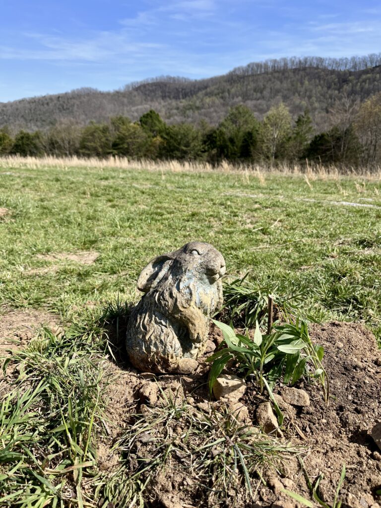 A photo of a metal rabbit at Narrow Ridge. The rabbit is in a small hole that has been dug into the grass and dirt there.