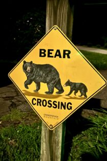 A bright yellow diamond shaped sign with black letters spelling "BEAR CROSSING" in all upper case letters. The sign also shows a drawing of two black bears.