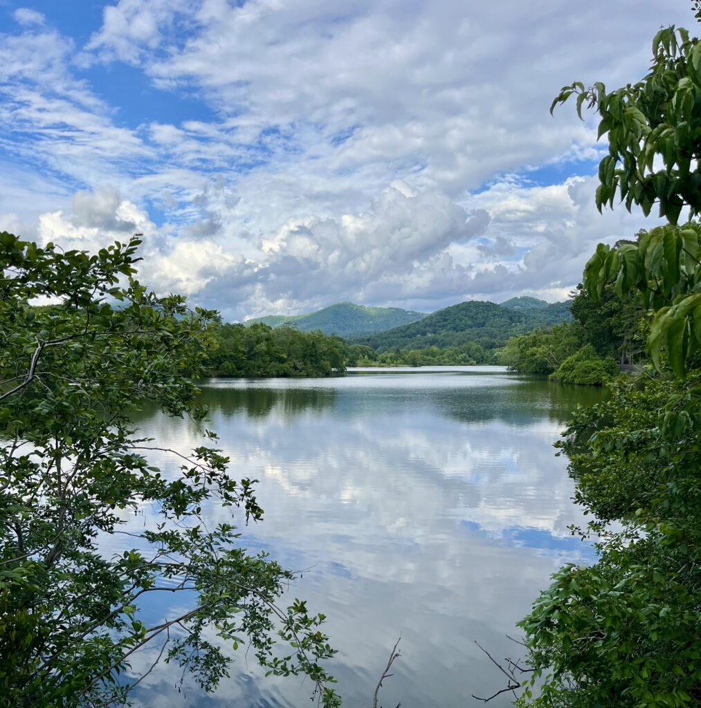 A view of an open, blue lake surrounded by green land and trees. The reflection of the white clouds in the sky can be seen on the water.