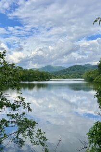 A view of an open, blue lake surrounded by green land and trees. The reflection of the white clouds in the sky can be seen on the water.