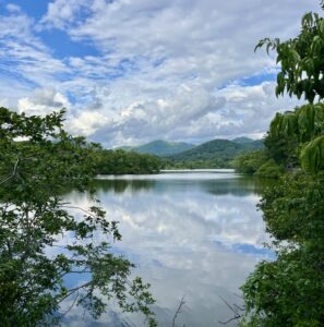 A view of an open, blue lake surrounded by green land and trees. The reflection of the white clouds in the sky can be seen on the water.