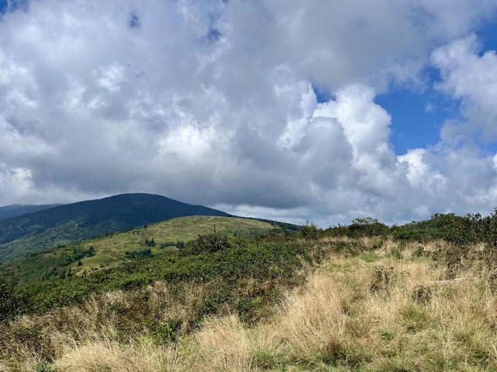 A photo capturing the green top of Roan Mountain. Against the green plant life, a slightly cloudy blue sky can be seen, as well as more mountain tops in the background.
