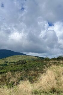 A photo capturing the green top of Roan Mountain. Against the green plant life, a slightly cloudy blue sky can be seen, as well as more mountain tops in the background.