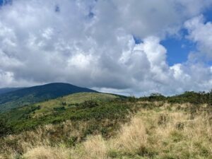 A photo capturing the green top of Roan Mountain. Against the green plant life, a slightly cloudy blue sky can be seen, as well as more mountain tops in the background.